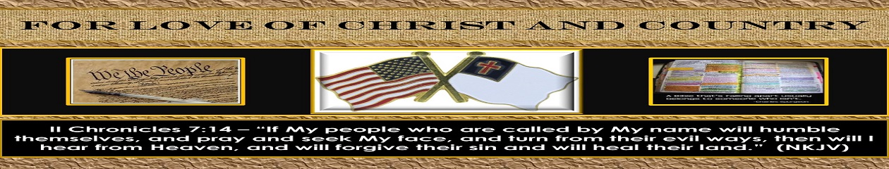 My experimental site